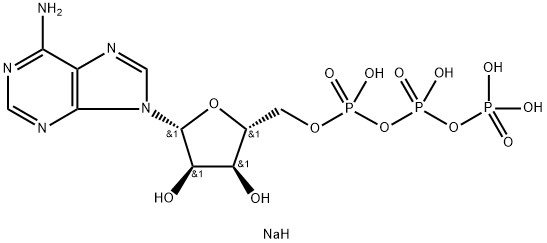 Soluzione CAS 987-65-5 di ATP 100mm dei ribonucleotidi di HPLC&gt;99%