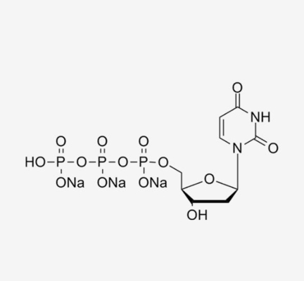 Soluzione incolore 2' di 100mm - Deoxyadenosine-5'-Triphosphate 5' - DATP nella PCR CAS 1927-31-7