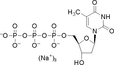 soluzione DTTP Deoxynucleotides 2' di 100mM - Deoxythymidine-5'-Triphosphate CAS 18423-43-3