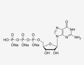 Sale trisodico CAS 36051-31-7 della soluzione Guanosine-5'-Triphosphate di GTP 100mM