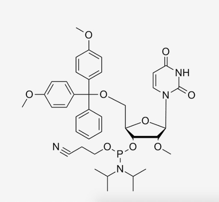 CAS 110764-79-9 5' - O--2'-O-Methyluridine ha modificato i nucleotidi 3' - sintesi dell'oligonucleotide di Phosphoramidite del CE