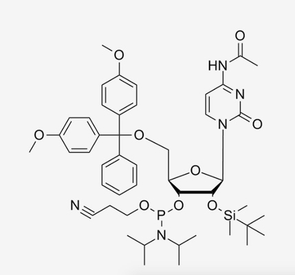 N4-Ac-5'-O--2'-O-TBDMS-C-CE ha modificato il CA-rC Phosphoramidite C47H64N5O9PSi CAS 121058-88-6 dei nucleotidi