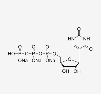 Pseudouridina 5' delle materie prime del vaccino del mRNA della soluzione di PUTP 100mM - trifosfato CAS 1175-34-4