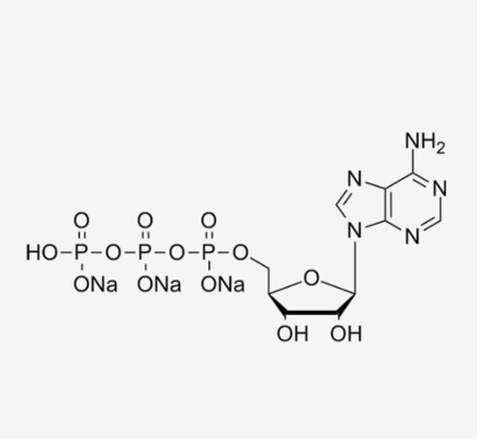 ATP, 100mM solution/HPLC≥99%/CAS No.: 987-65-5/Adenosine-5'-triphosphate, sale trisodico