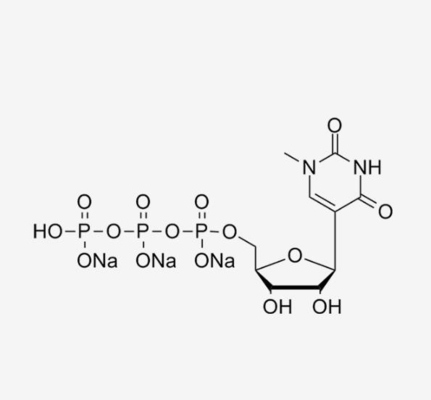 N1-Me-pUTP, 100mM solution/HPLC≥99%/CAS No.:  1428903-5/N1-methyl-pseudouridine 5' - trifosfato, soluzione salina trisodica