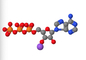 soluzione salina disodica dell'adenosina trifosfato dei ribonucleotidi di ATP di 100mm CAS 987-65-5