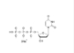 100 mm 2'- deossyuridina-5'- trifosfato sale trisodico DUTP PCR HPLC≥99%